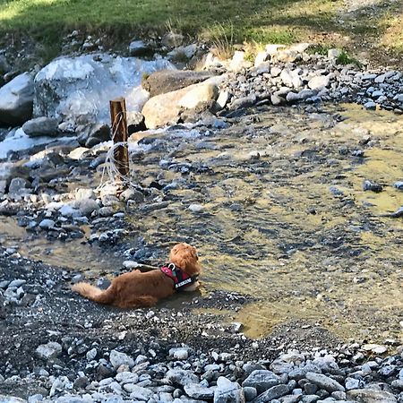Ferienwohnung Biohof Laussnitzer In Rennweg Rennweg am Katschberg Luaran gambar