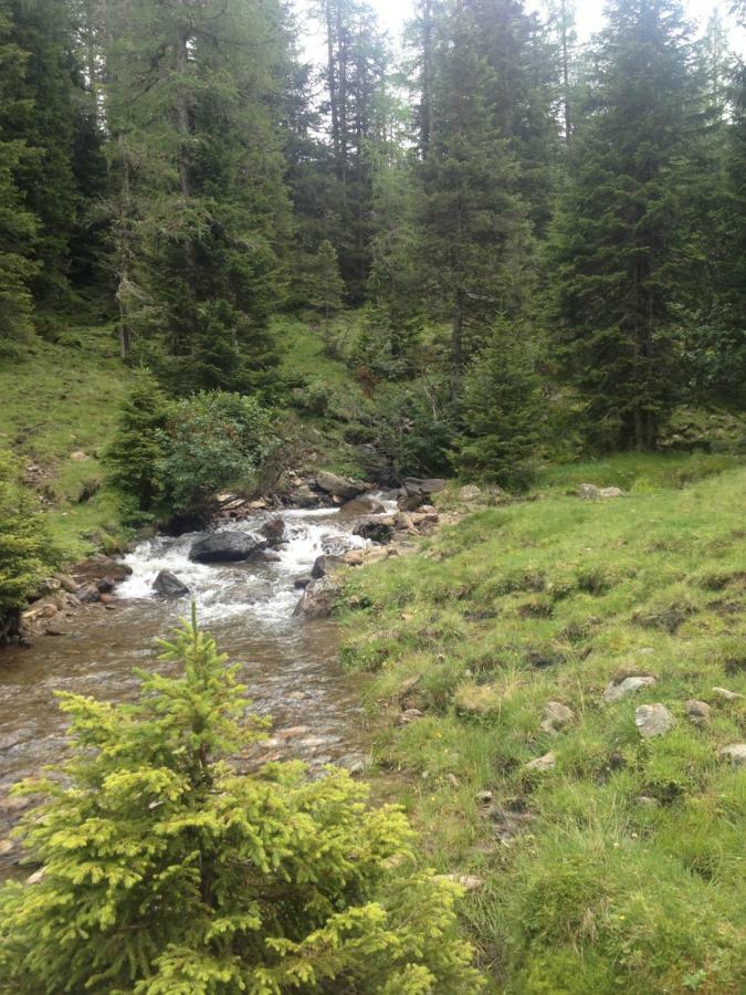 Ferienwohnung Biohof Laussnitzer In Rennweg Rennweg am Katschberg Luaran gambar